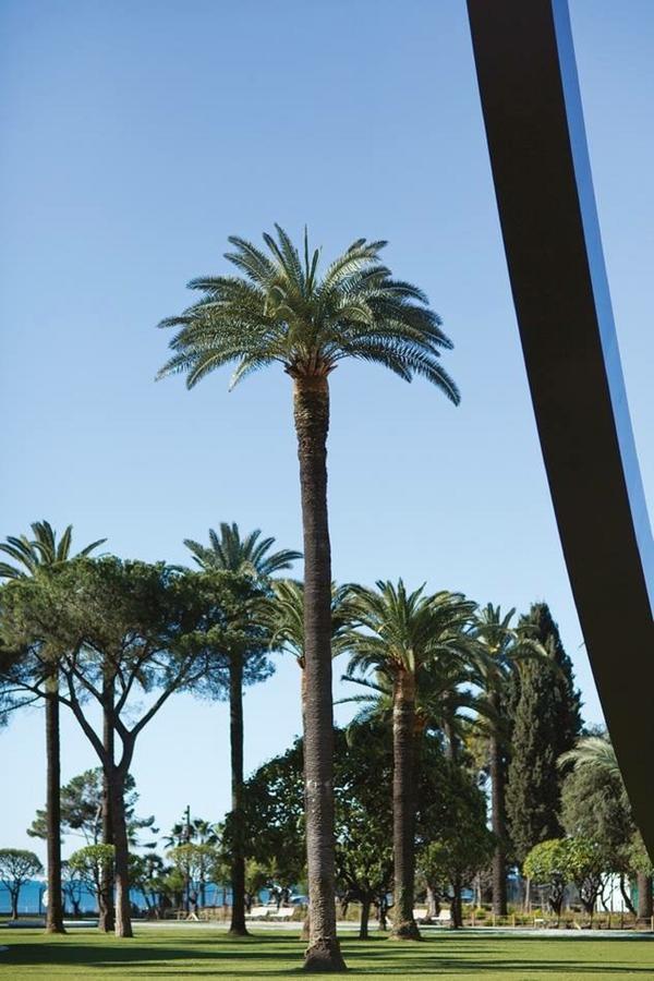 Le Prefecture - Luxueux F3 En Duplex, Ascenseur, Coeur Vieux-Nice公寓 外观 照片